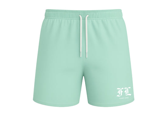 Flashy Local Aqua Shorts